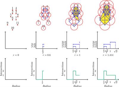 Persistent Homology Metrics Reveal Quantum Fluctuations and Reactive Atoms in Path Integral Dynamics
